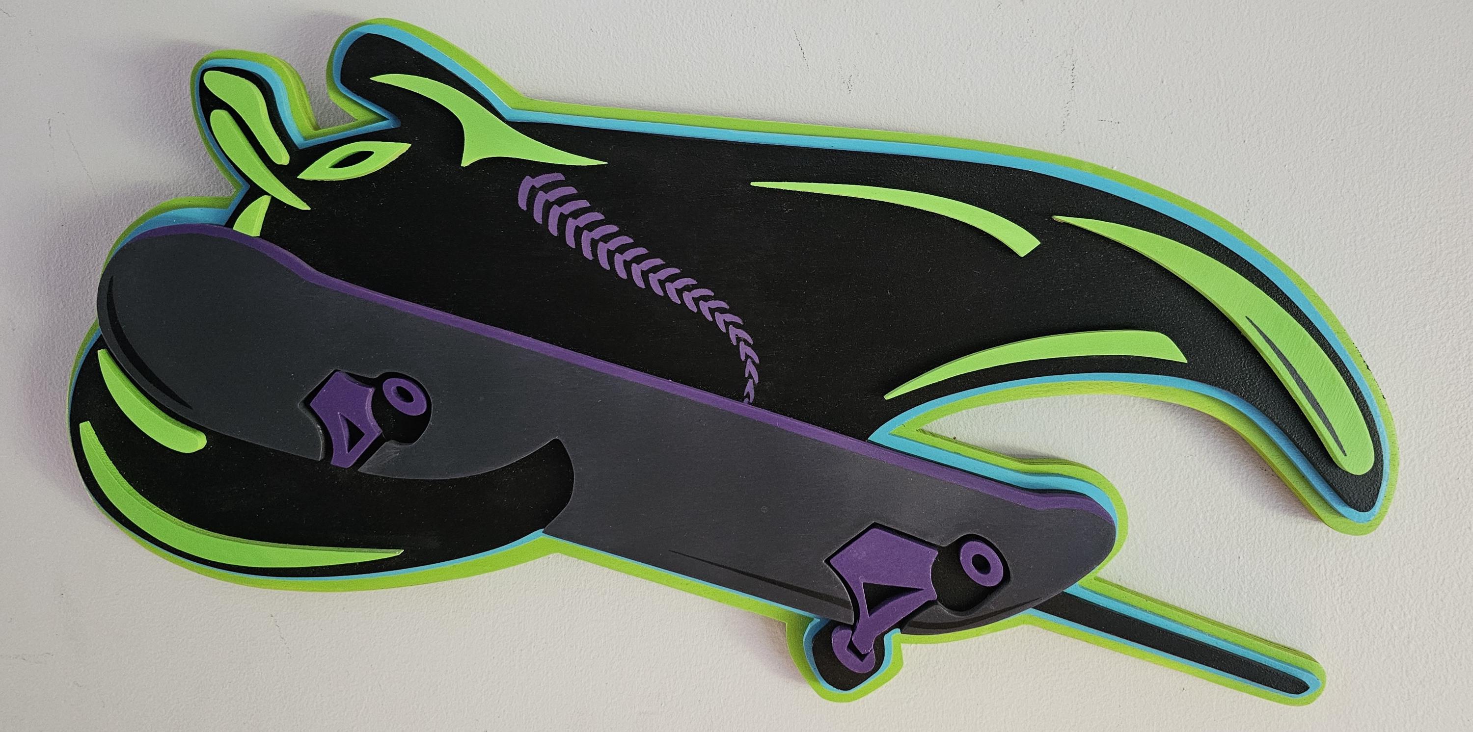 Explore the Rays City Connect Skateboard Collection for 2024