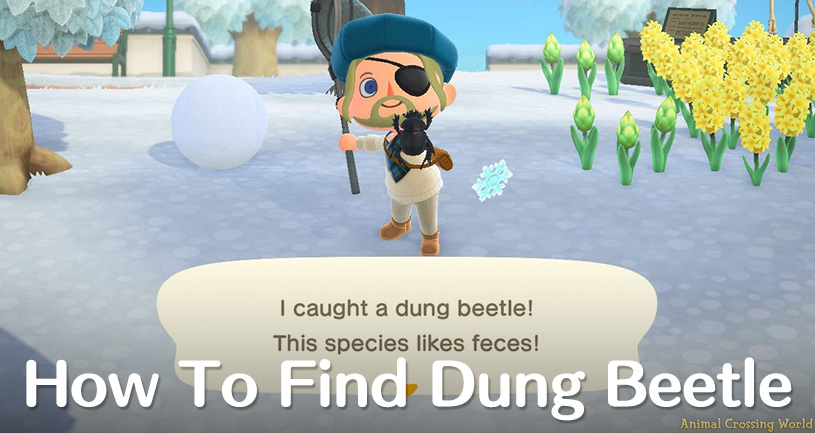 The Rarity of Dung Beetles in Animal Crossing: Tips for Collectors