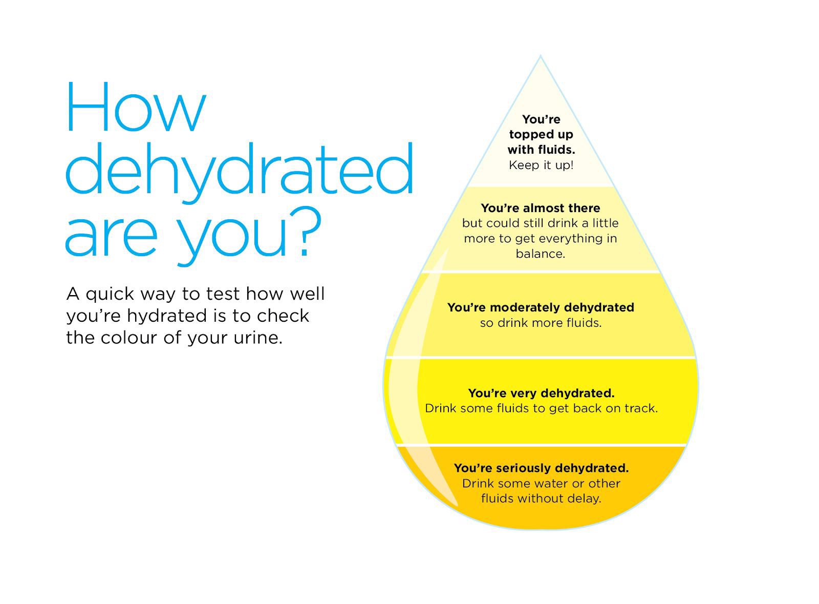 How to Pass a Hydration Test? Simple Tips and Tricks