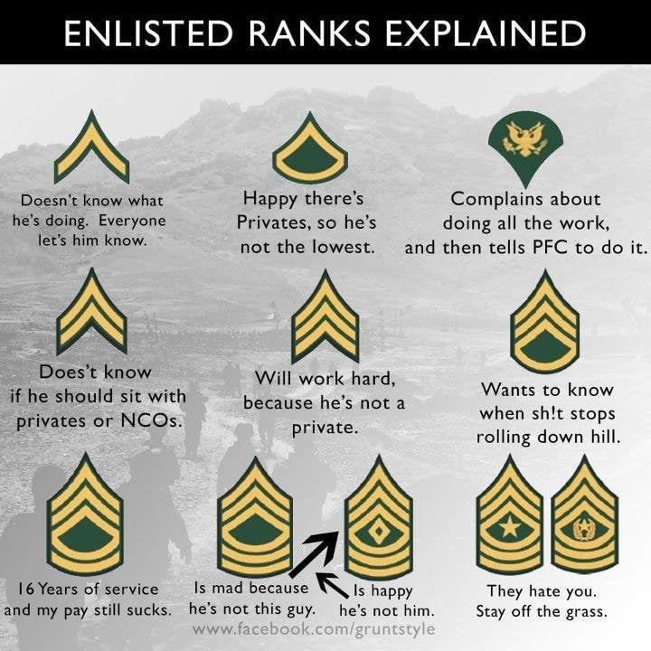 Mofnils rank explained everything you need to know