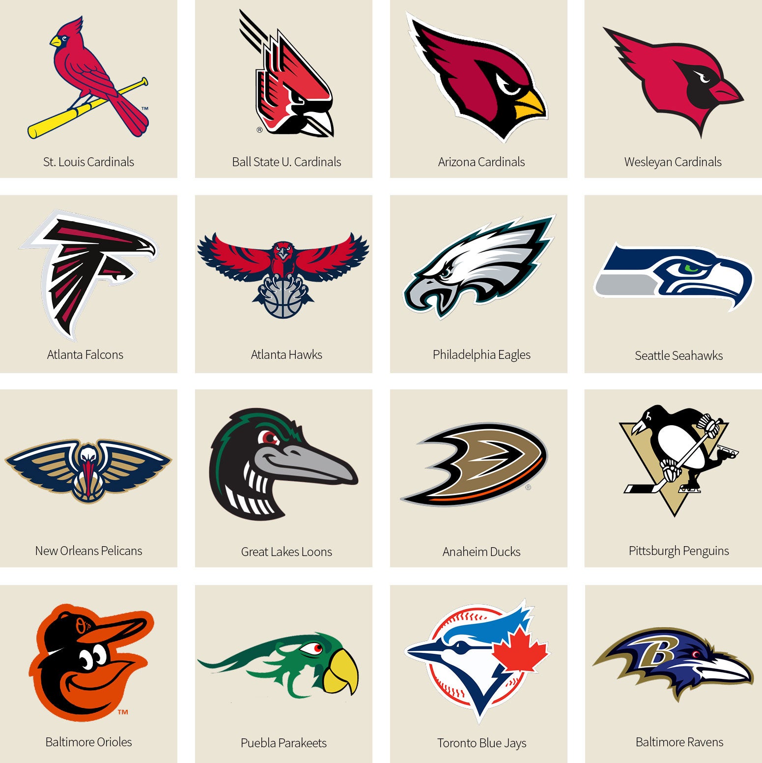 Coolest Bird Mascots: See the Football Teams (A Guide to Football Teams with Bird Mascots)