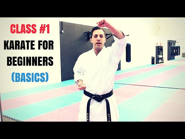 Become an Internet Karate Kid: Master the Basics (Tips for Beginners)