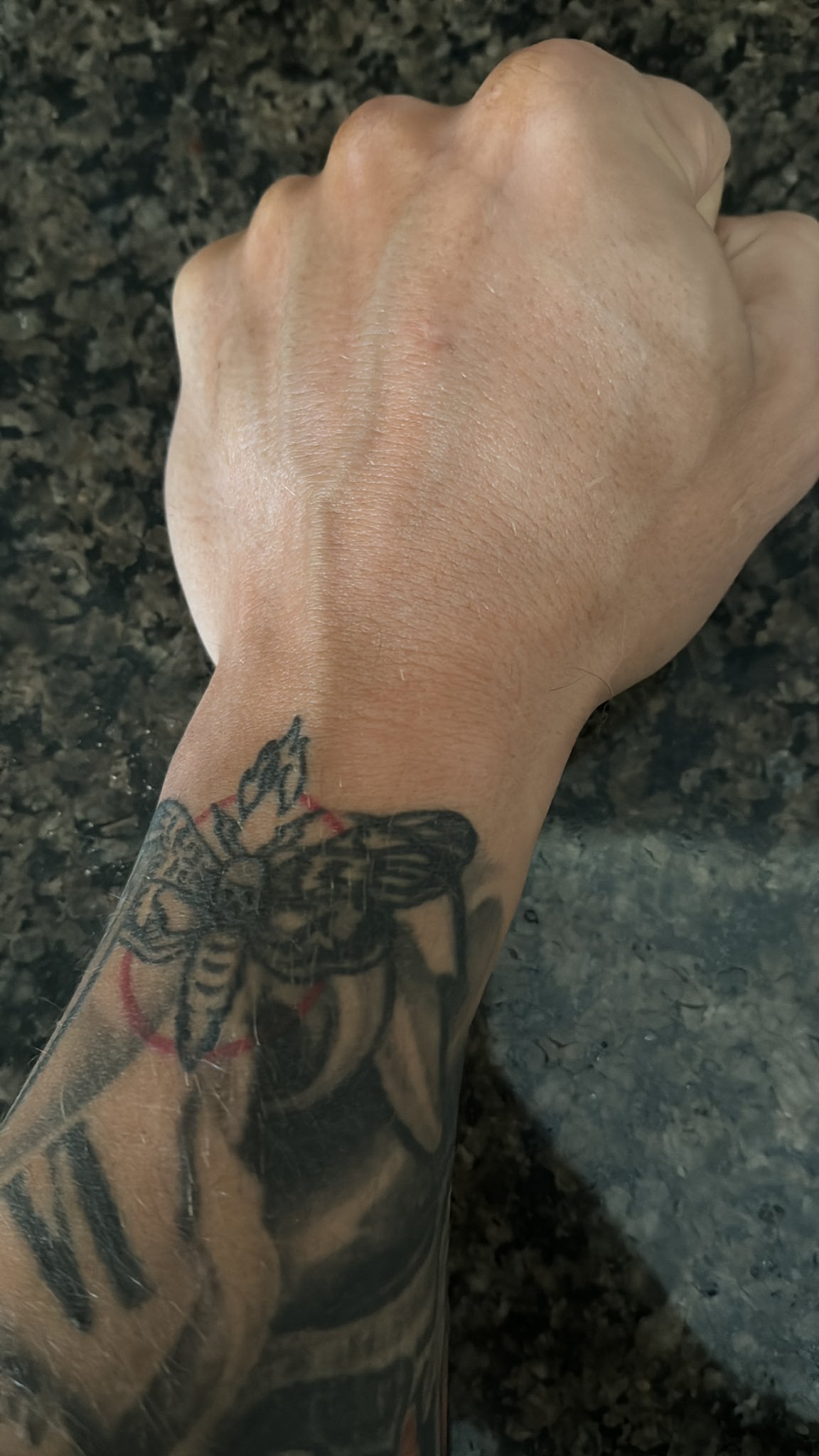 Karrion Kross Wyatt Tattoo: Fans Decode the Hidden Message.