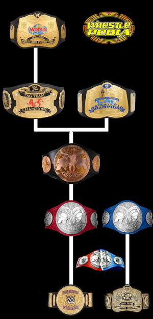 The History of the Smackdown Tag Team Championship Belts (WWE)