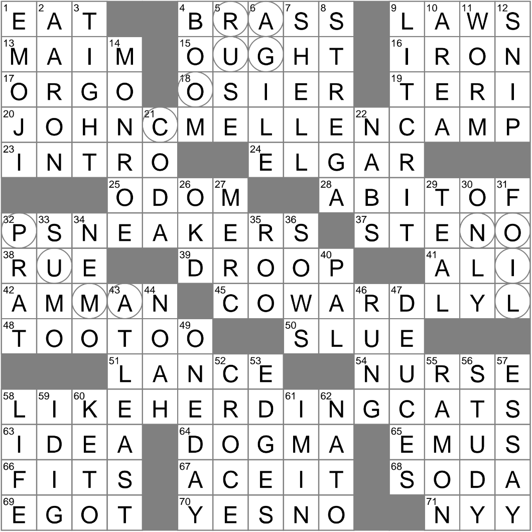 Need Help With a Some Suede Kicks Crossword? ( We Have Solved for you Here!)