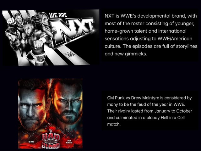 Breaking Down the WWE Contract: A Beginners Guide 2024