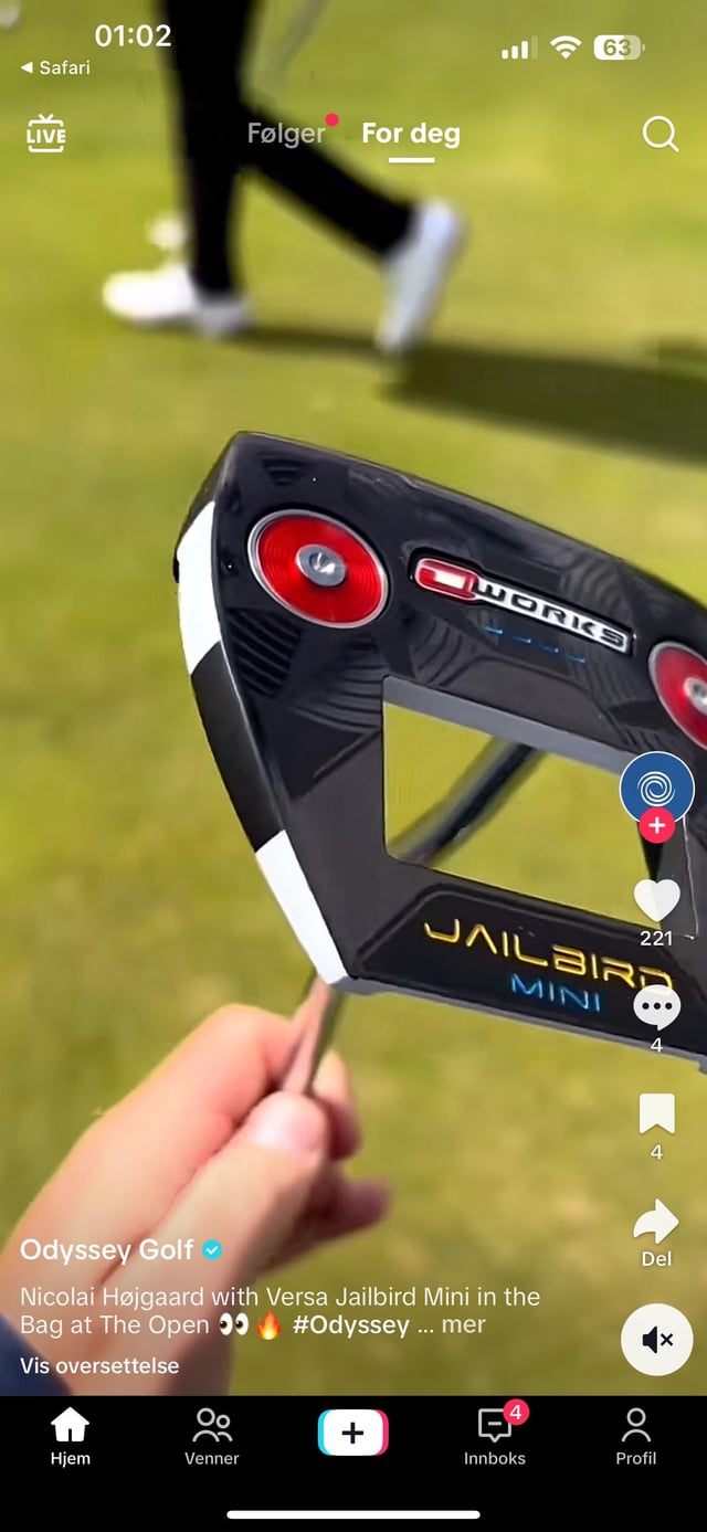 Jailbird Mini vs Jailbird: Easy Guide to Choosing the Right Putter!