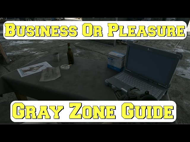 Mixing Work and Play: Understanding the Business or Pleasure Gray Zone